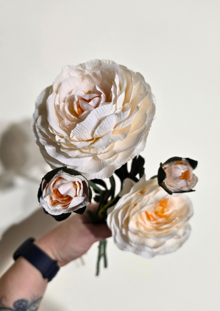 Peony Stems