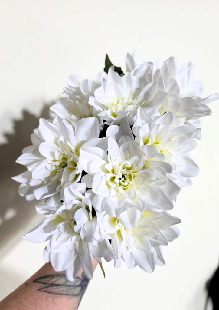 White Dahlia Stems
