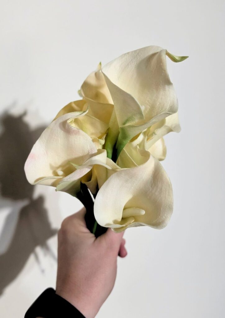 Ivory Calla Lily