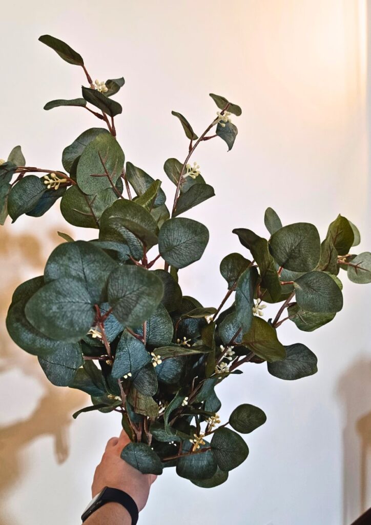 Tall Eucalyptus Stems