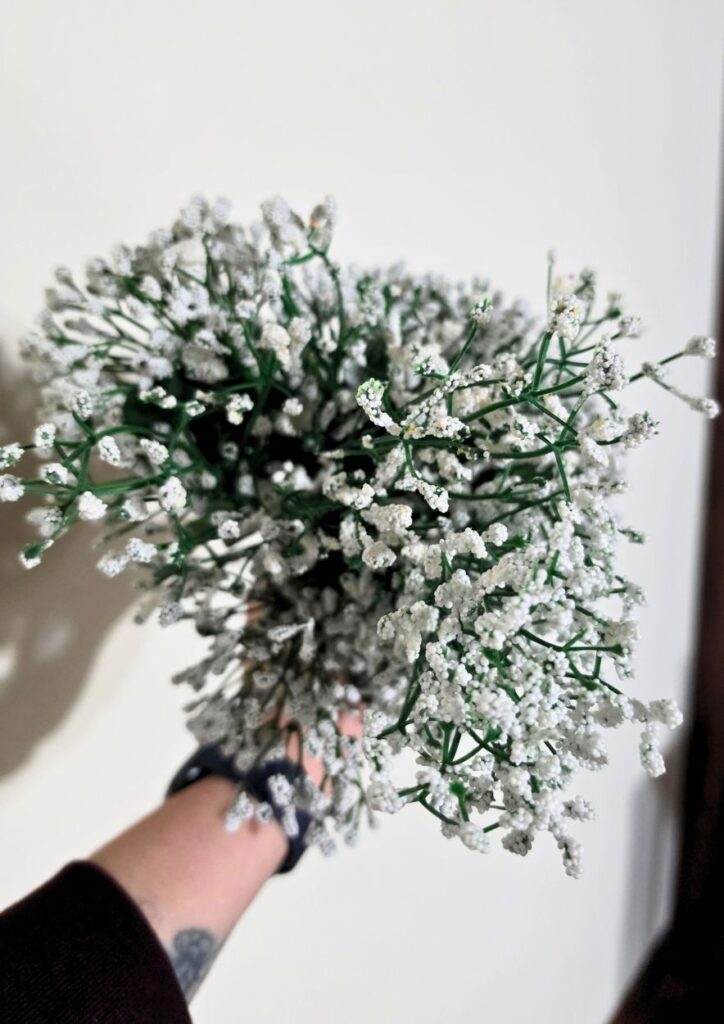 Baby's Breath Bundle